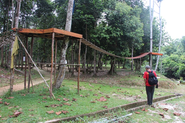 Ke Belitung Lagi Bertemu Tarsius Lucu Di Batu Mentas