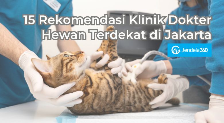 15 Rekomendasi Klinik Dokter Hewan Terdekat di Jakarta