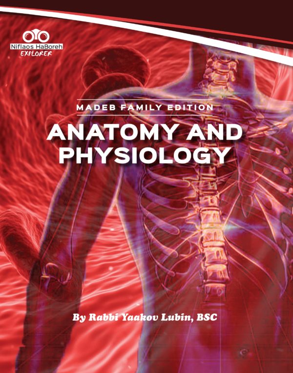 Anatomy and Physiology Textbook