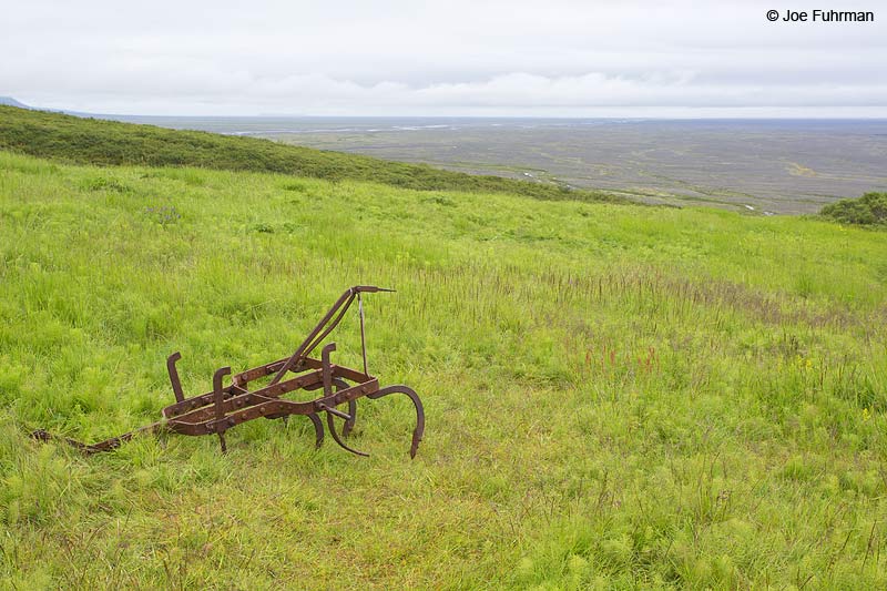 Skaftafell National Park, Iceland   July 2013