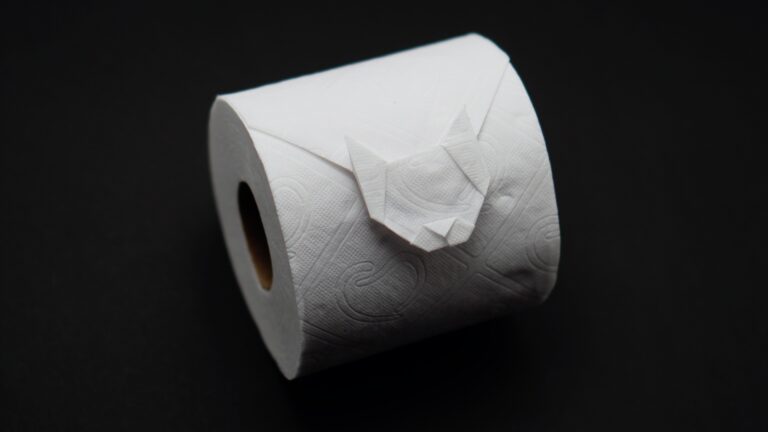 Toilet Paper Cat