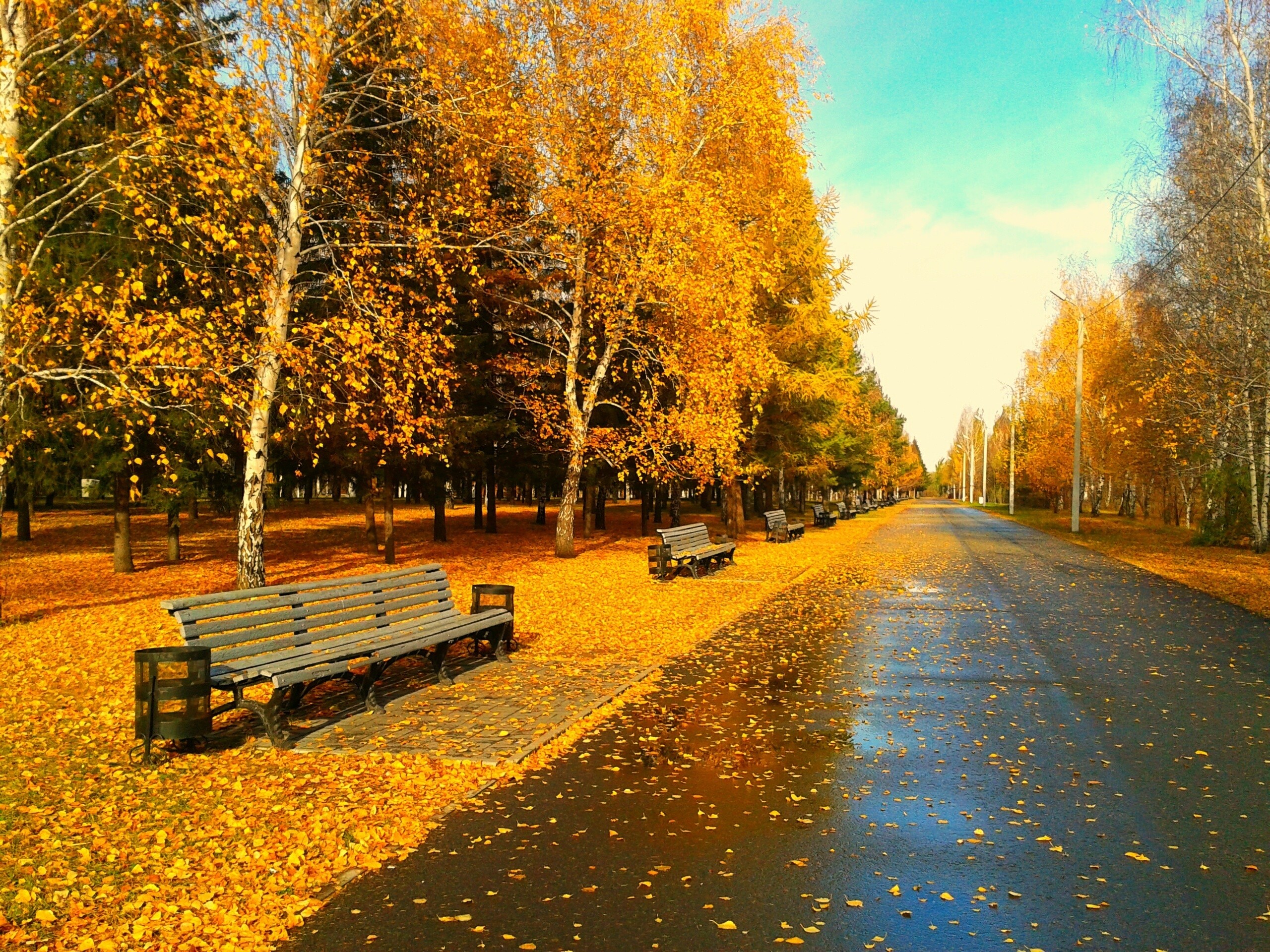 Autumn season wallpaper | AllWallpaper.in #15136 | PC | en