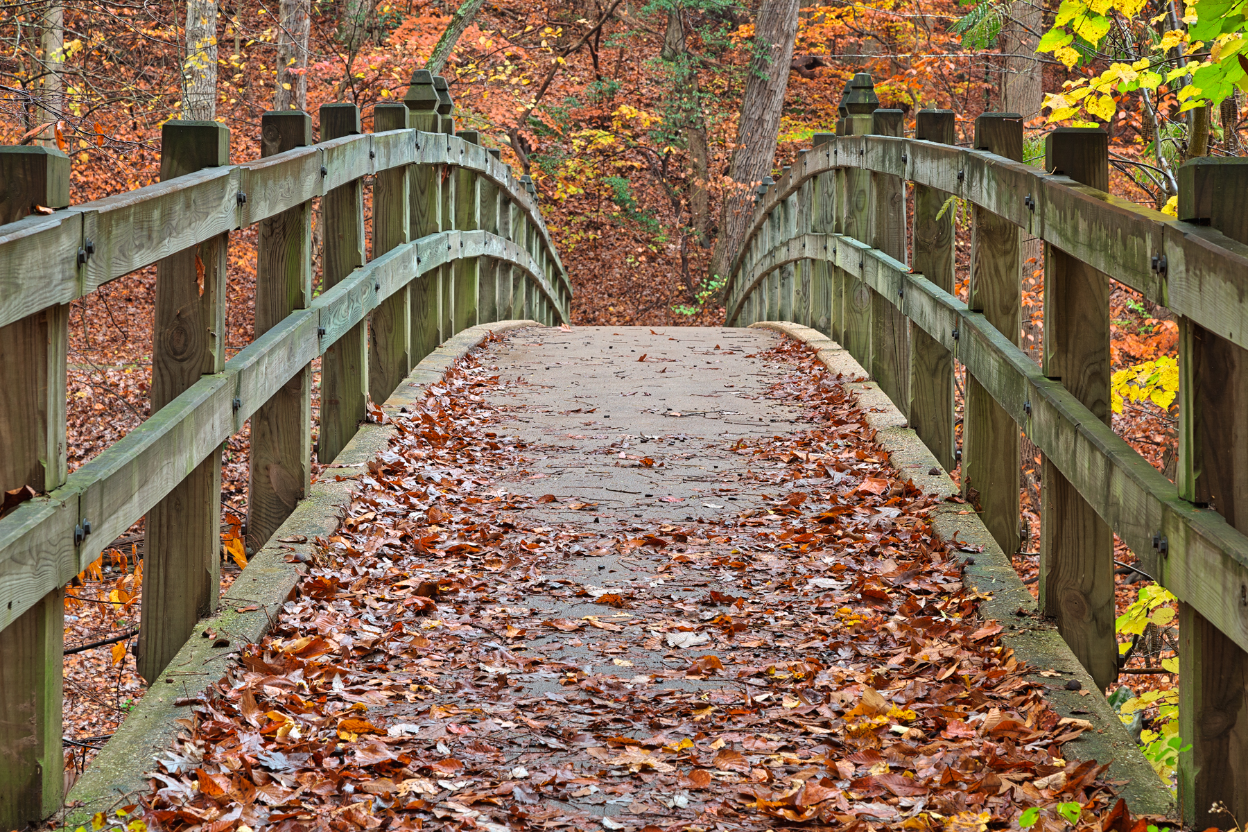 Bridge to fall - hdr photo