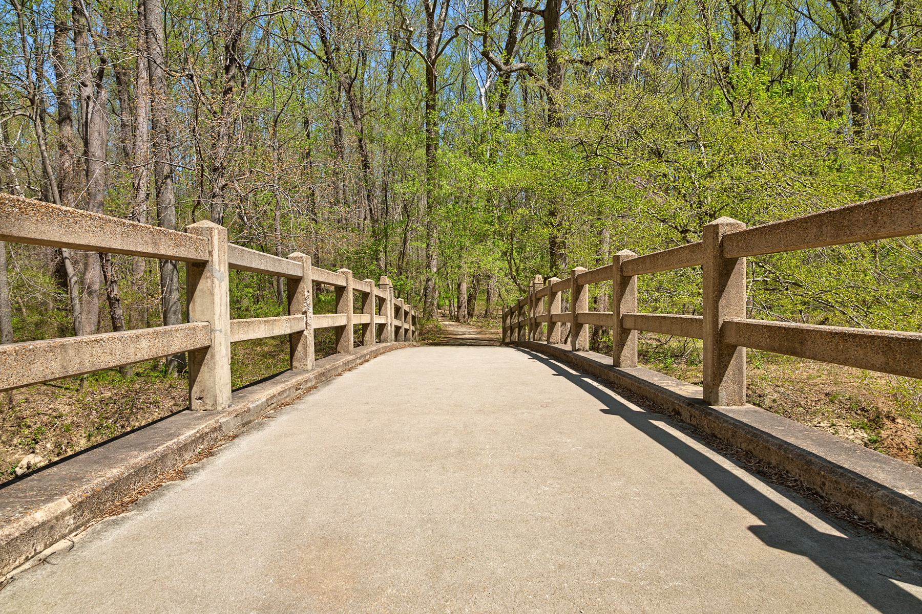 Bridge to spring - hdr photo