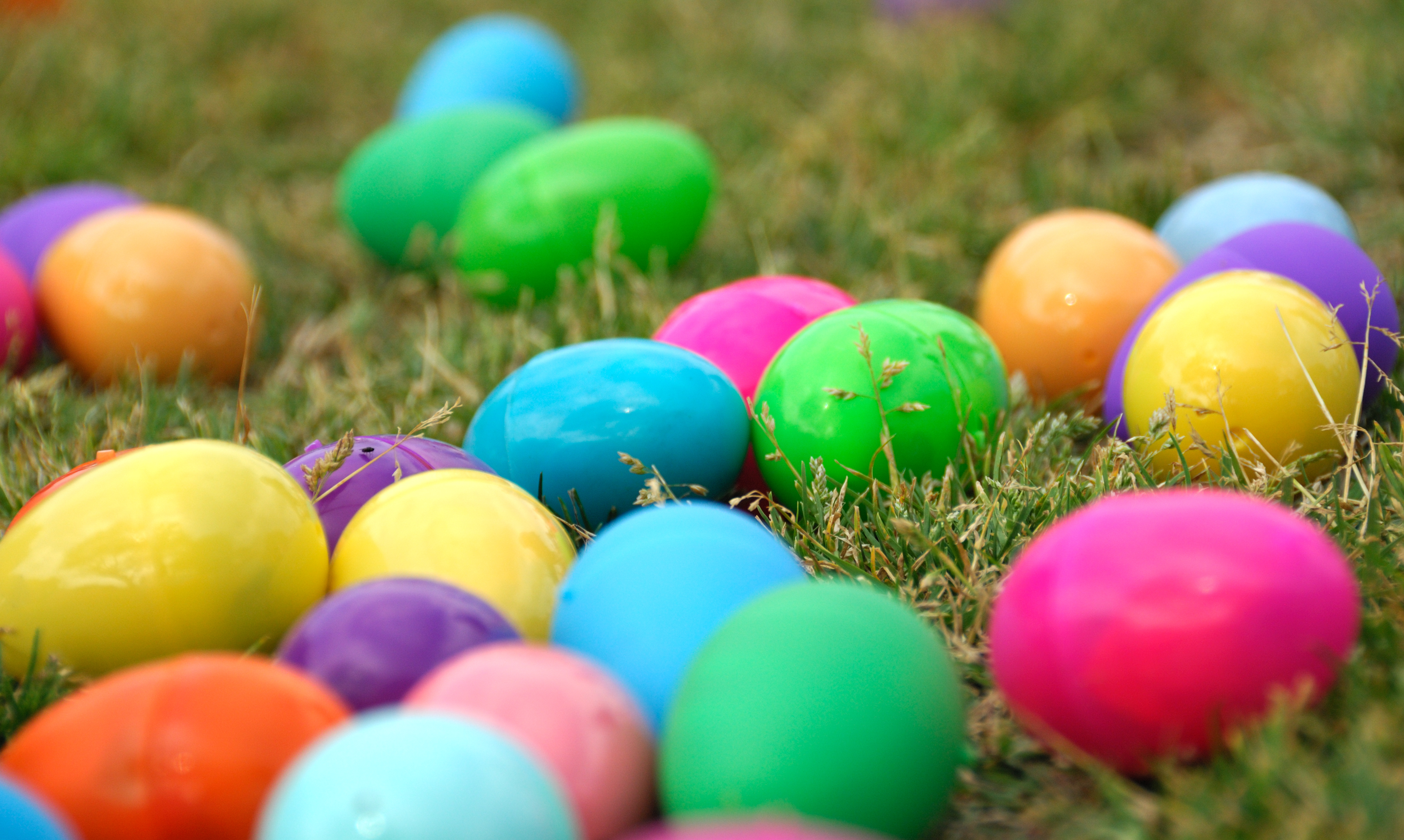 Easter eggs photo