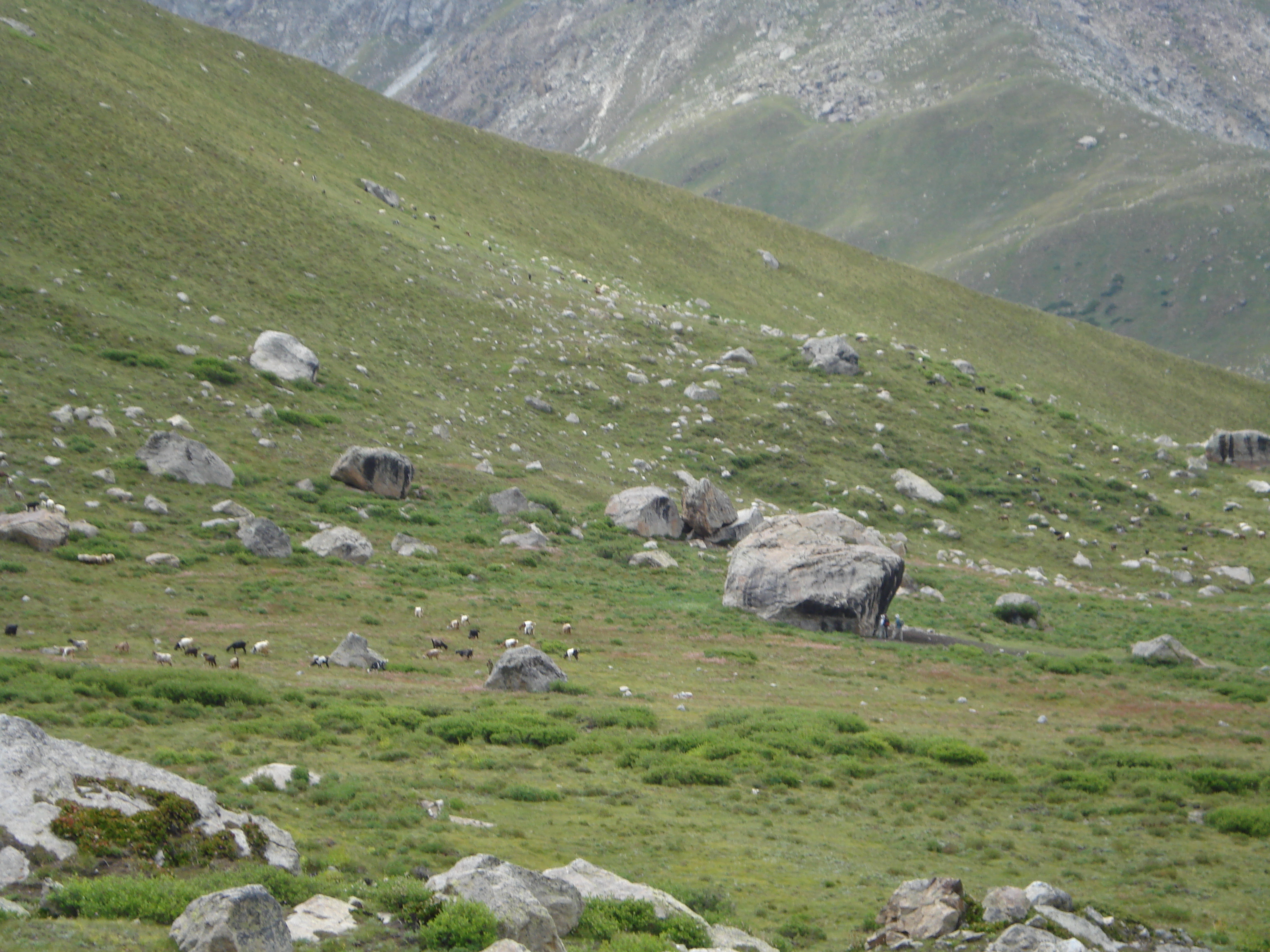 Fairy meadows photo