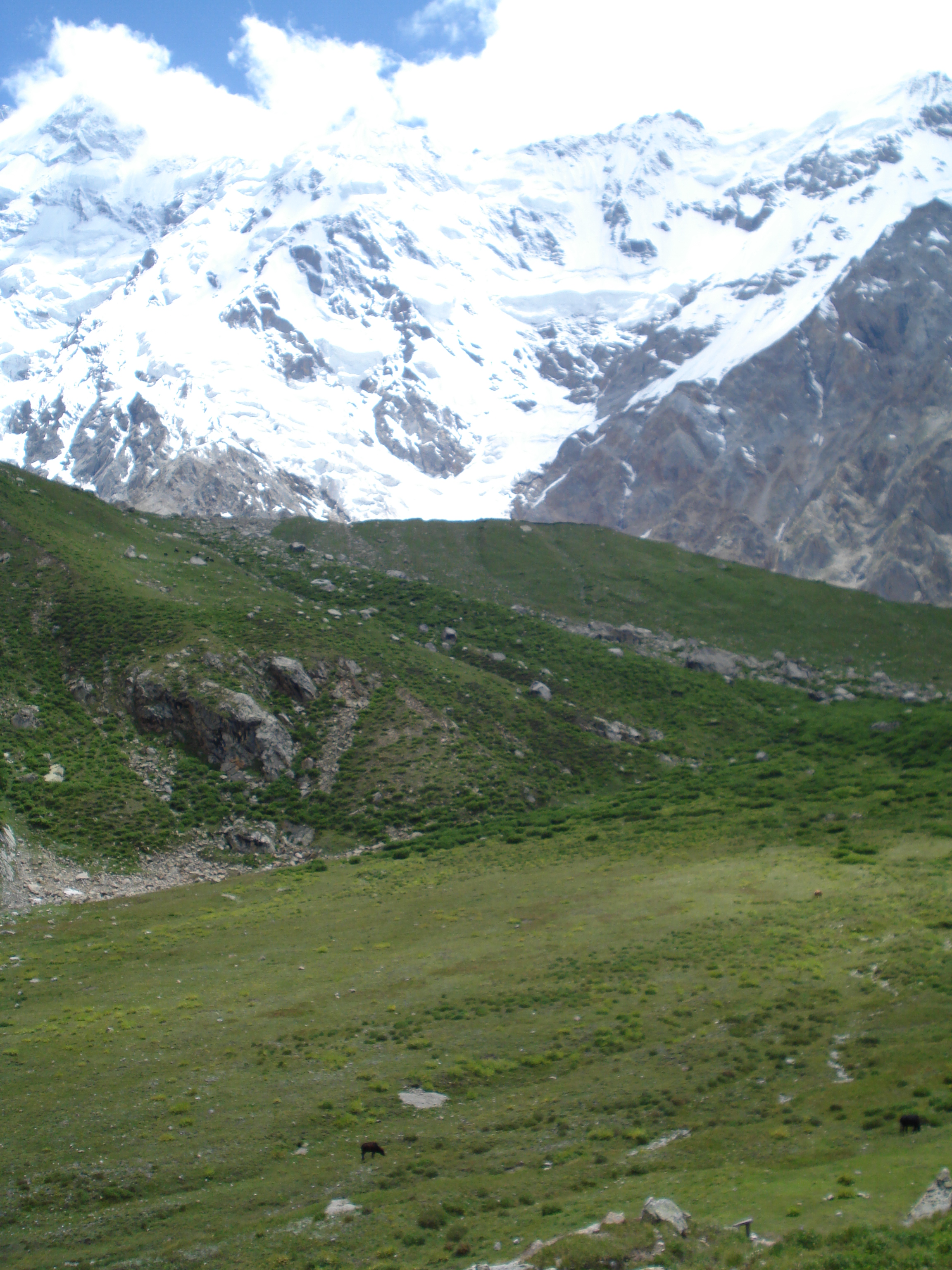 Fairy meadows photo