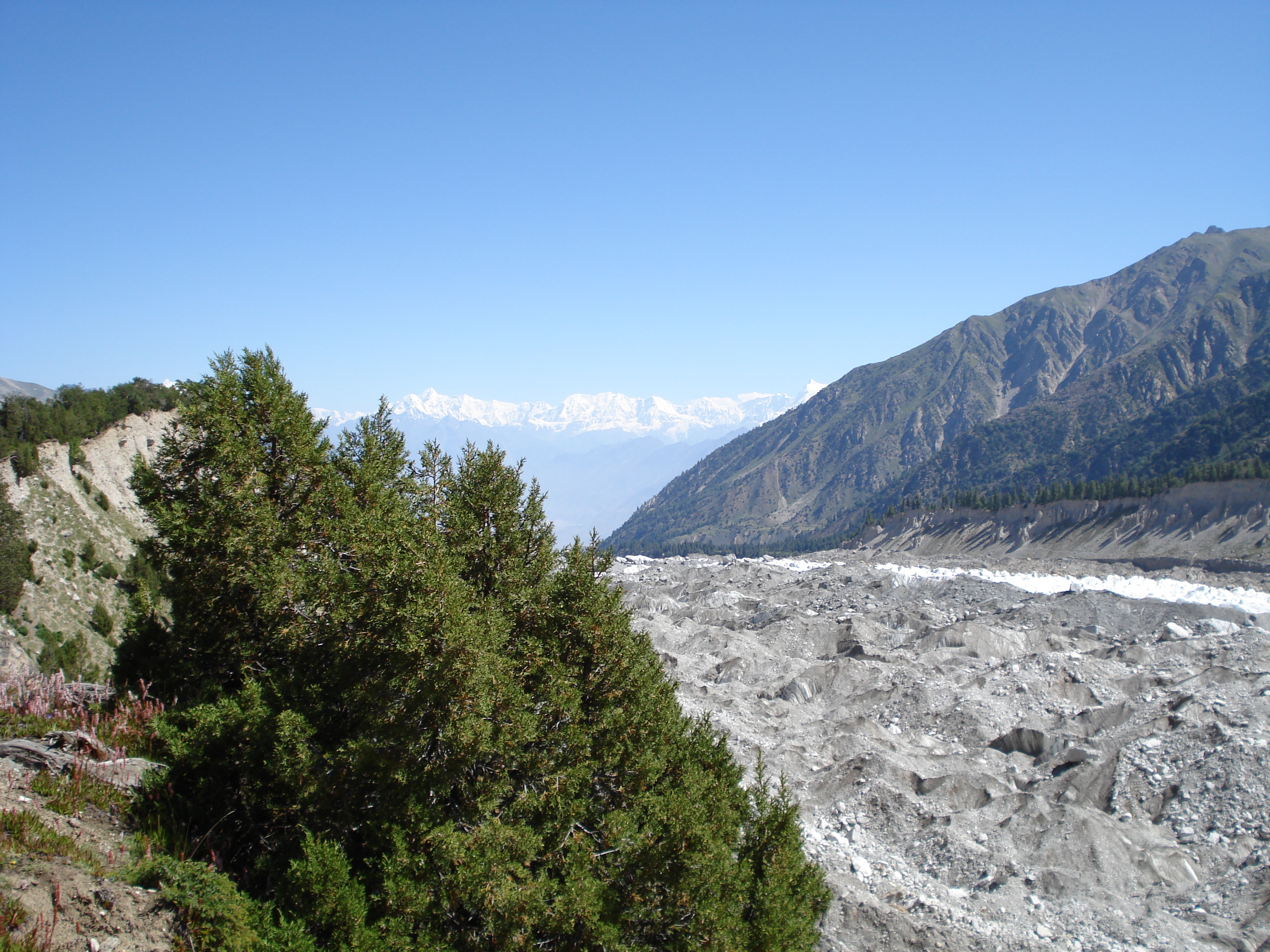 Fairy meadows photo