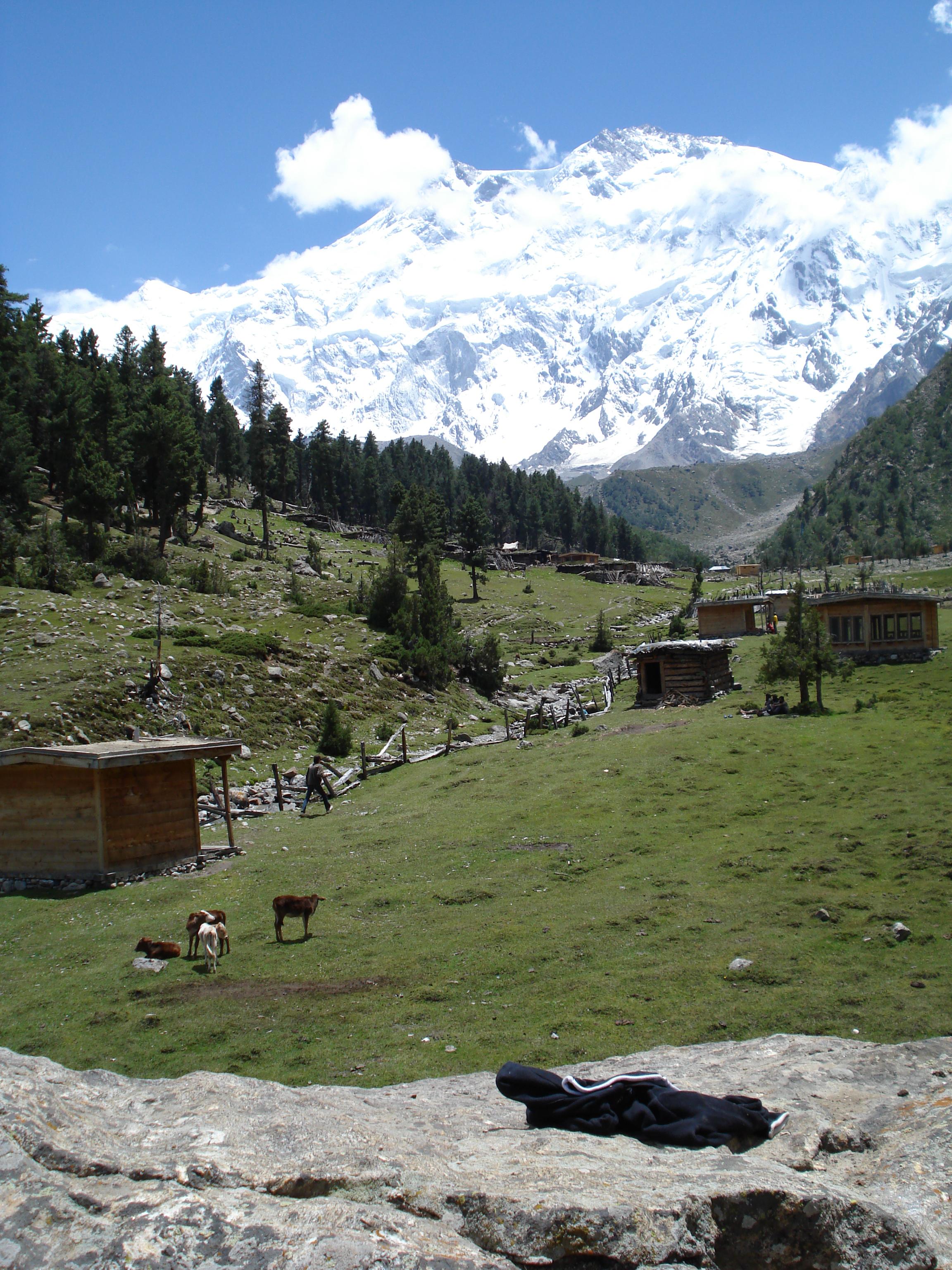 Fairy meadows photo