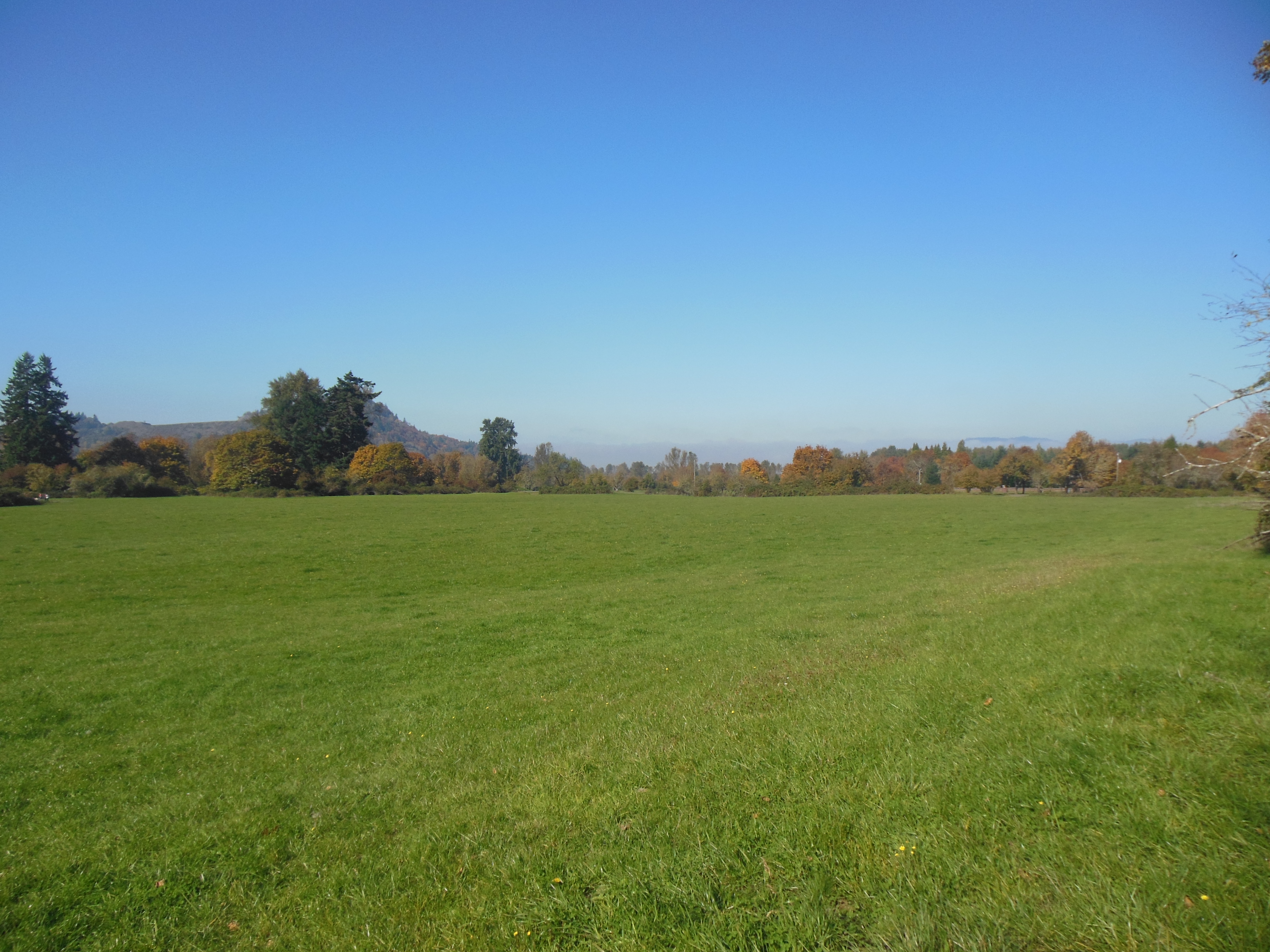 File:Grass field west of Mount Pisgah.JPG - Wikimedia Commons