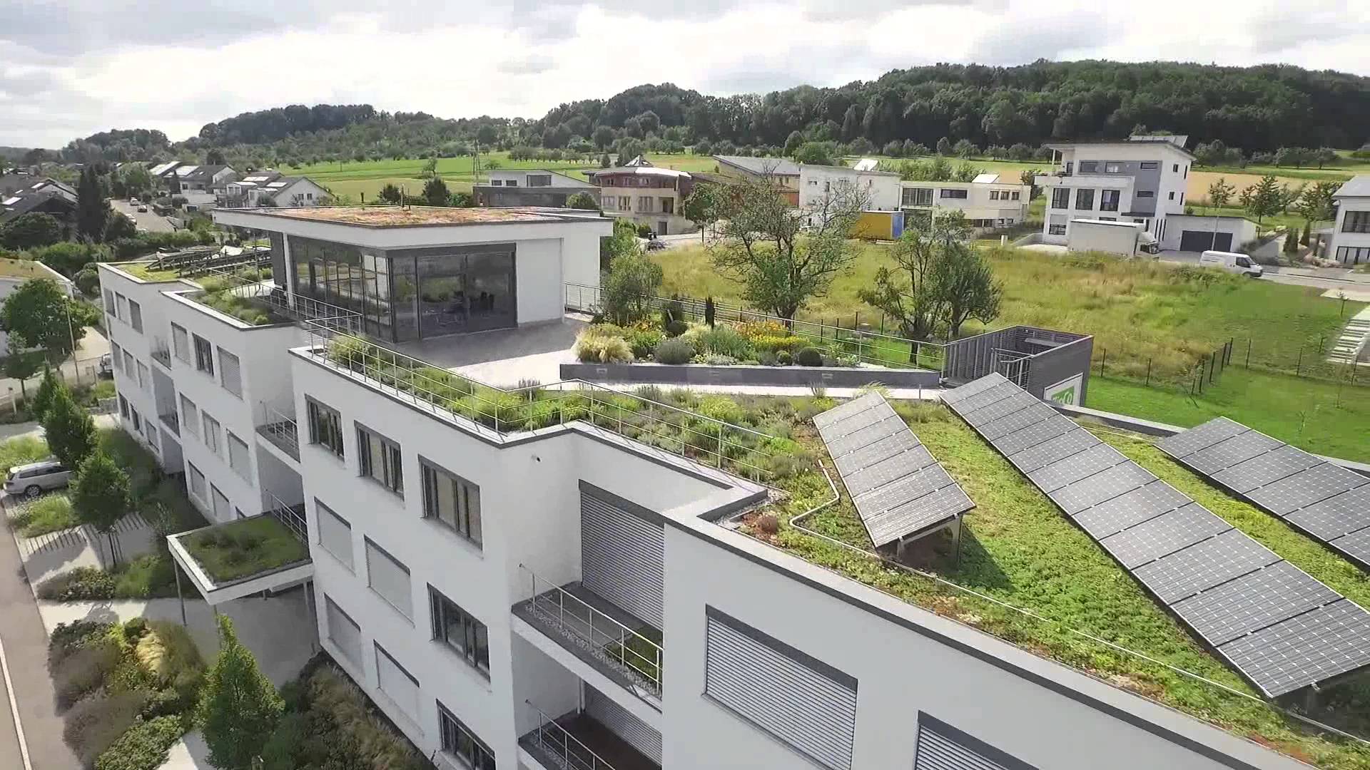 Green Roof Systems, this building shows the full range! - YouTube