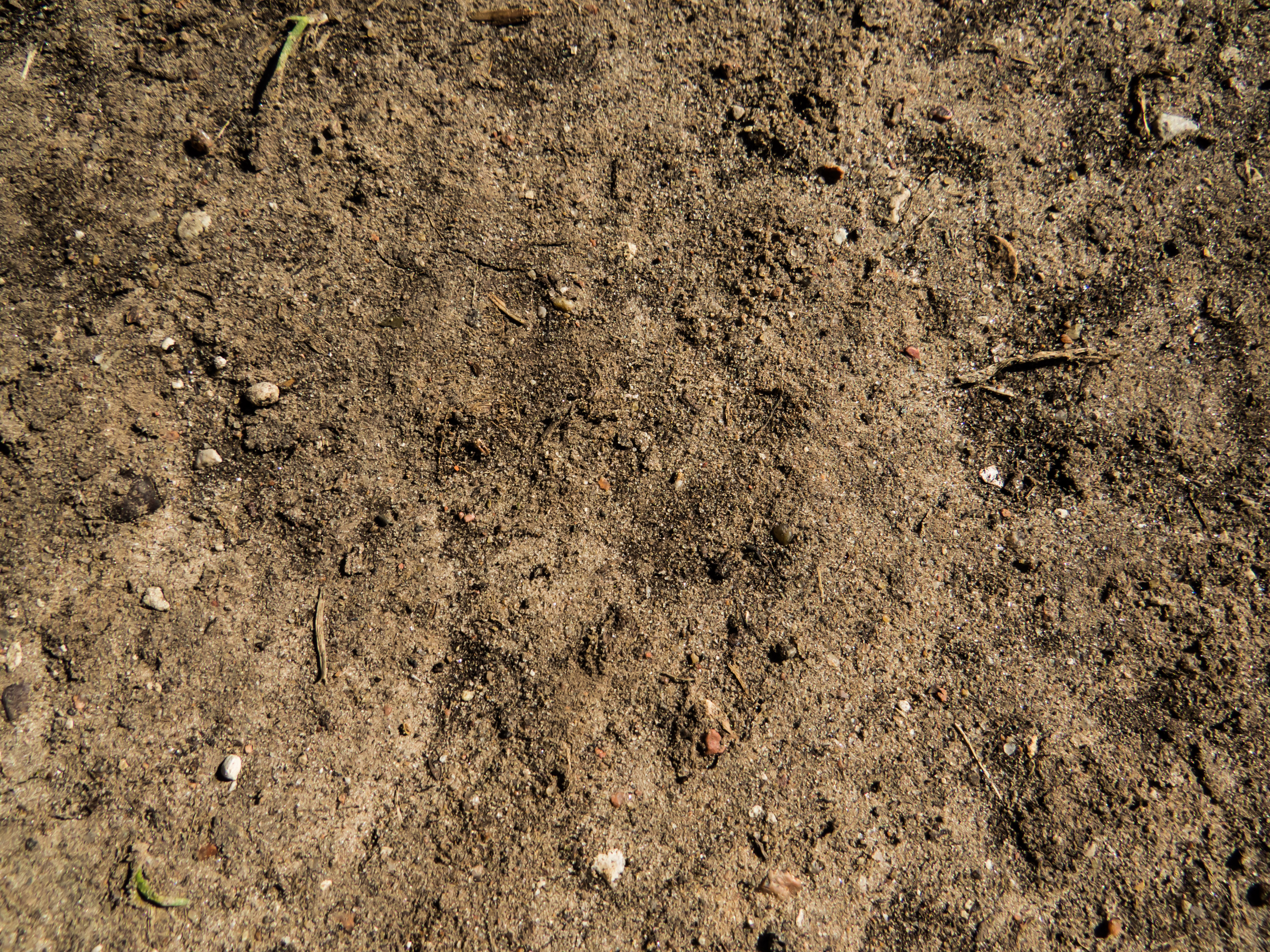 Soil Surface Texture