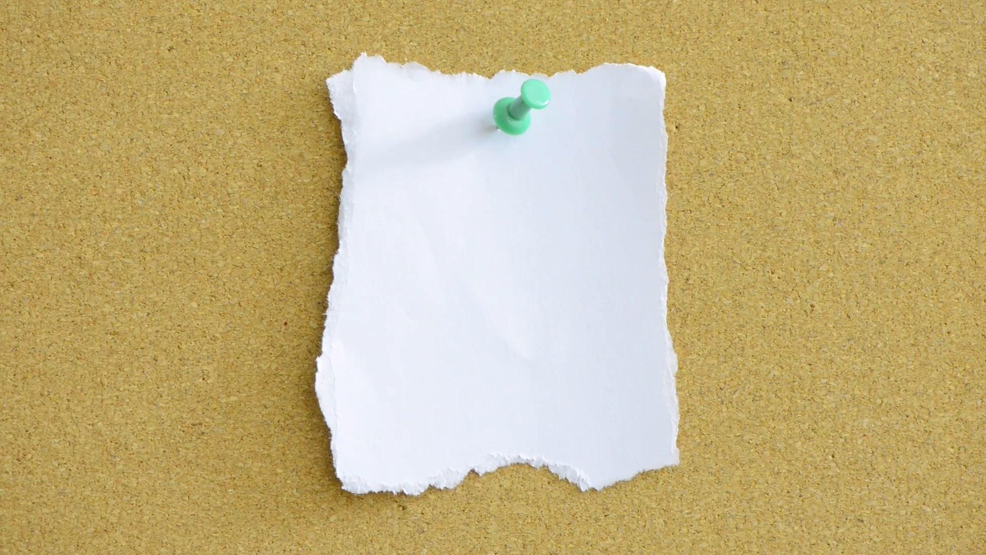 Close up of empty white paper note pinned to office noticeboard ...