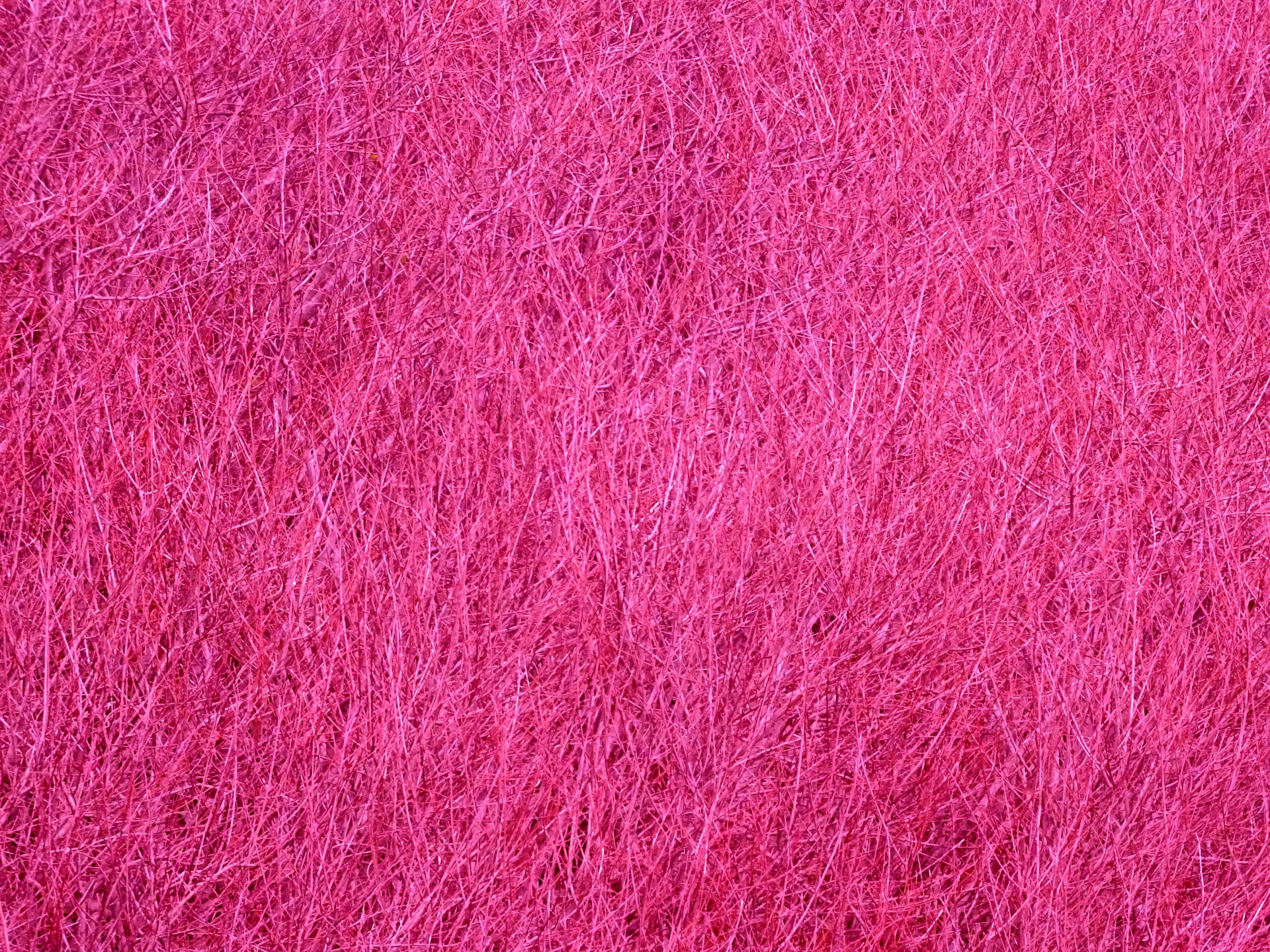 Pink Texture Background Free Stock Photo - Public Domain Pictures