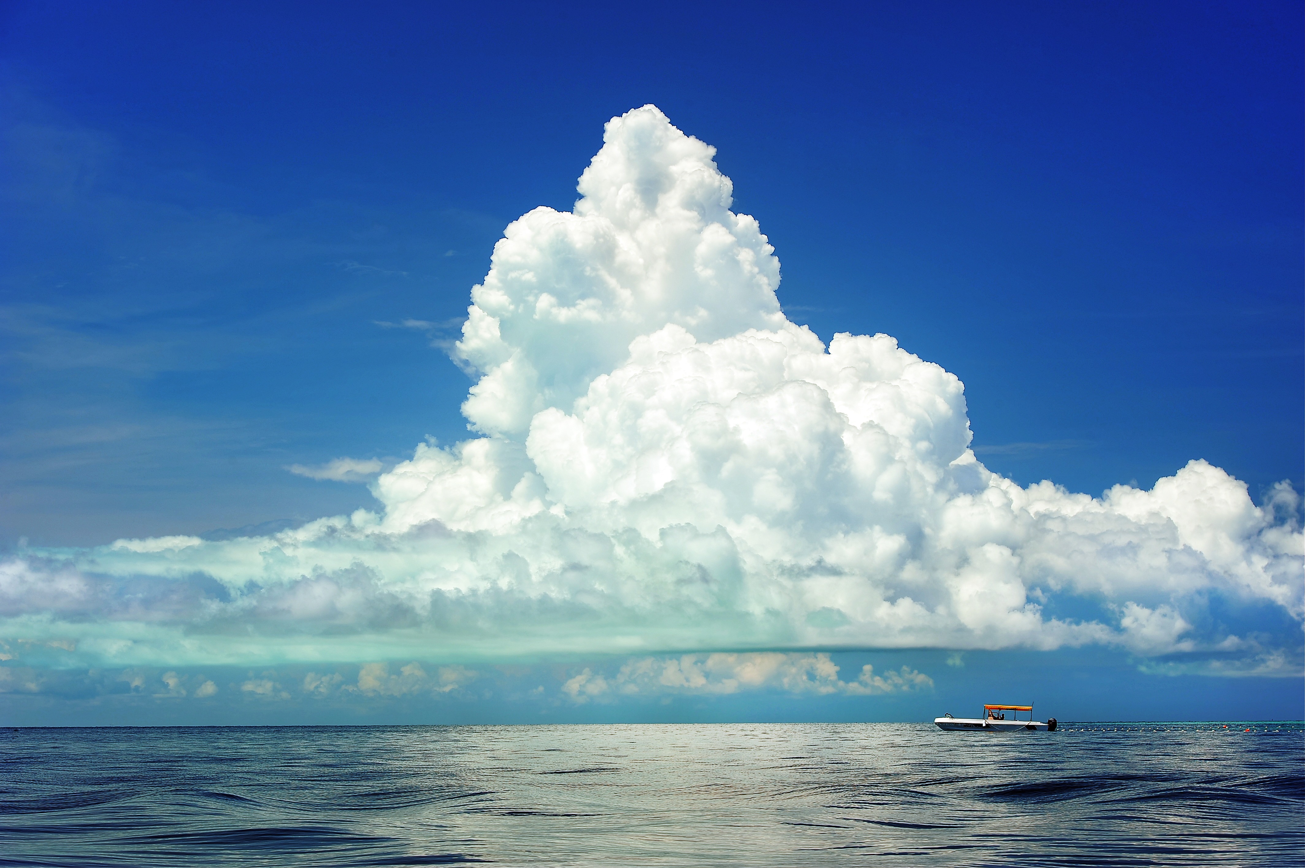 Sailing in the sea photo