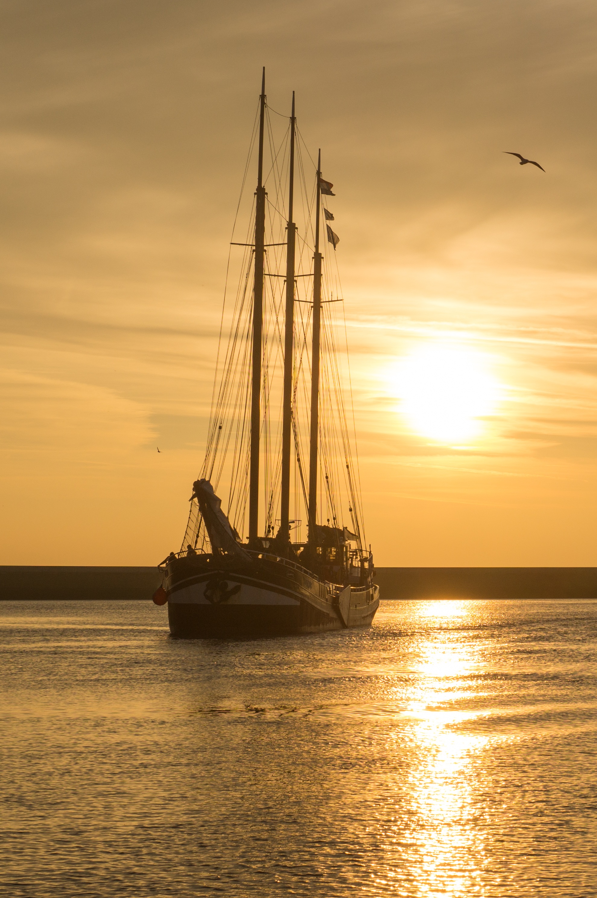 Sailing ship photo