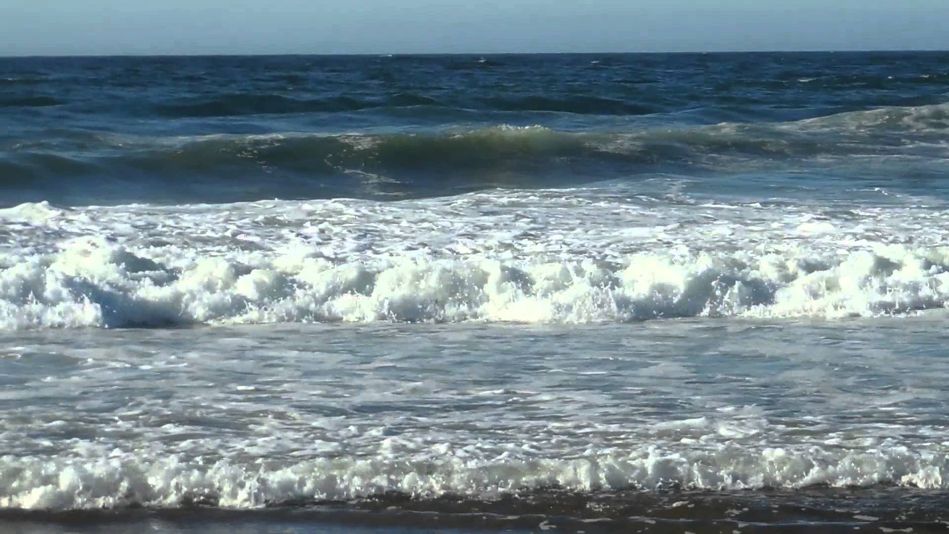 Point Reyes Seashore Waves - YouTube