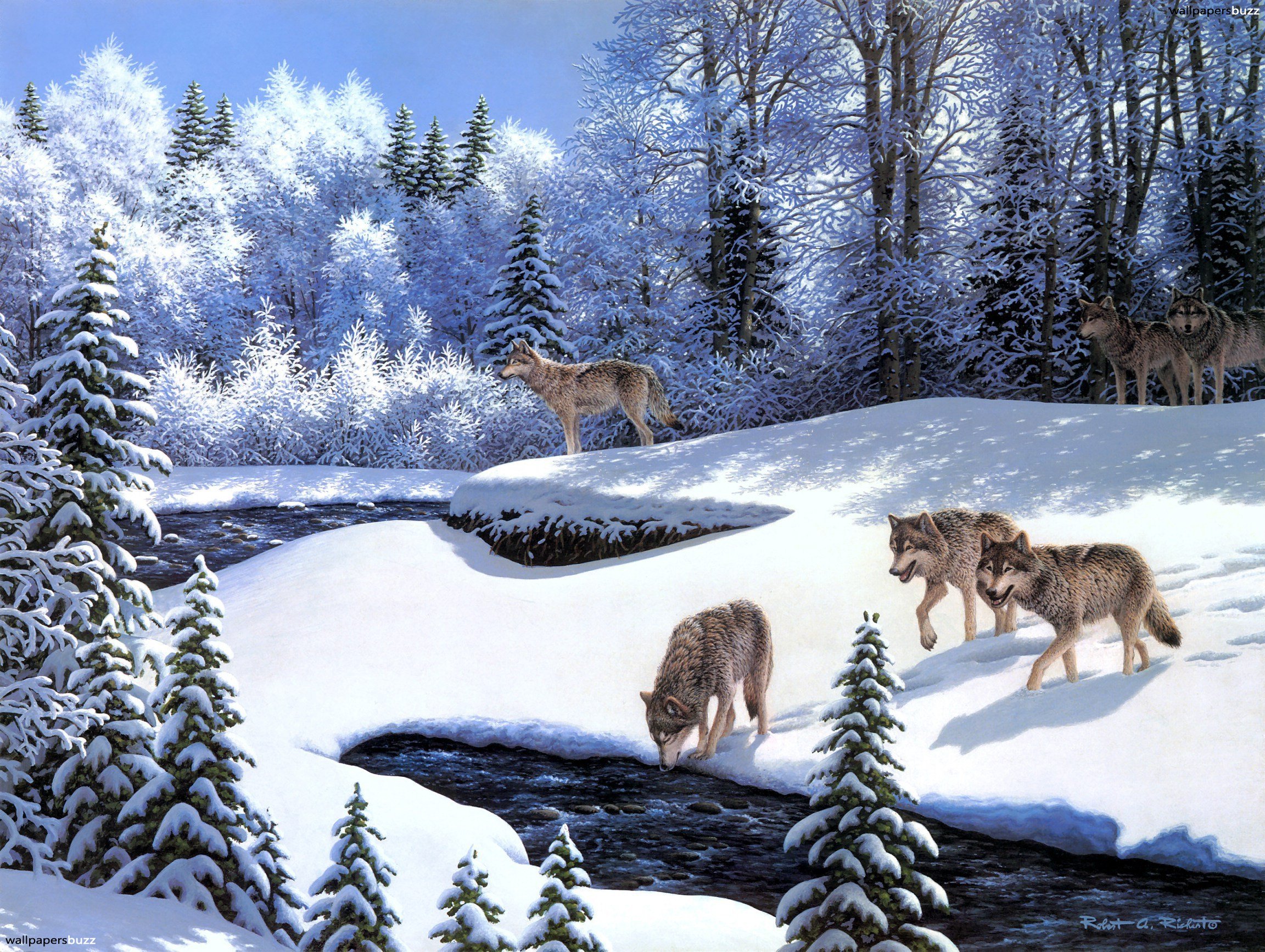 Wolves in the winter forest HD Wallpaper