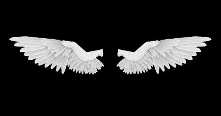 White Angel Wings