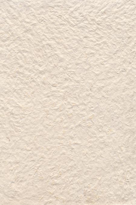 Blank Parchment Texture