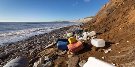 Contaminated Beach