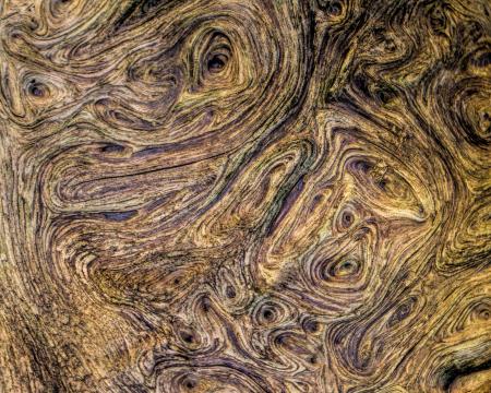 Wood Texture