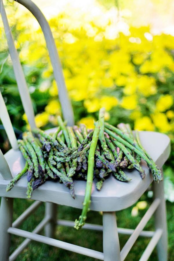 Asparagus on the Chair