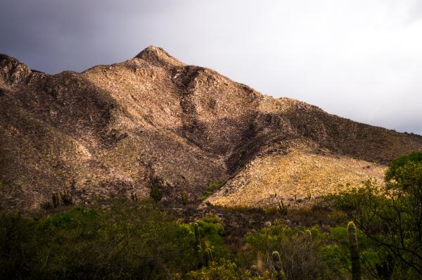 Photo of Mountain Near Forest