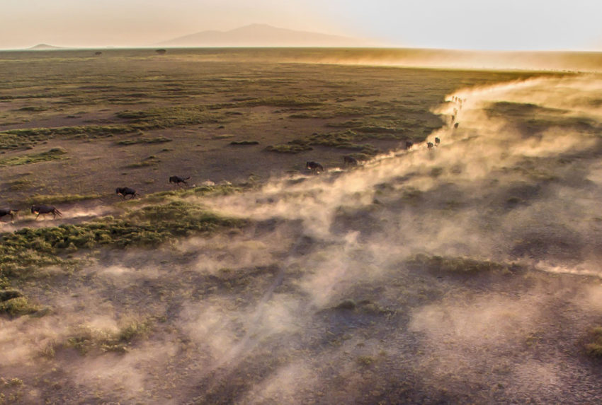 Tanzania-Loliondo-Serengeti-Hero