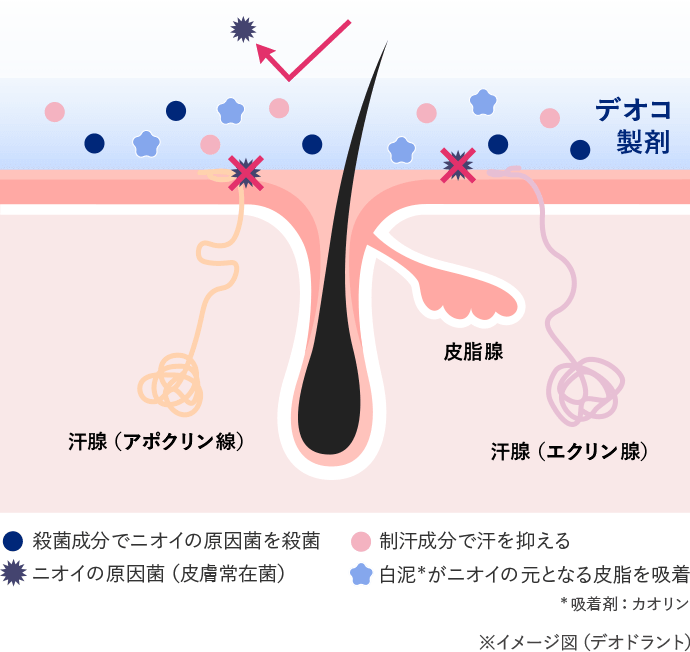 制汗剤・拭き取りシート