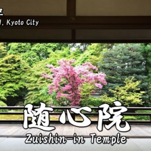 zuishinin-txt-01_small