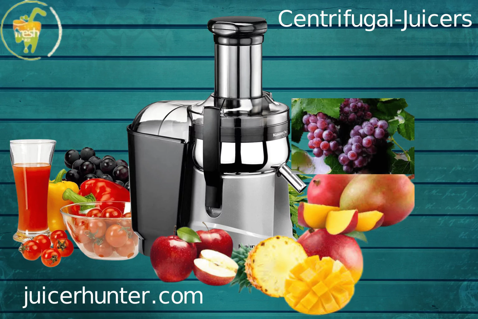 Best Centrifugal Juicers