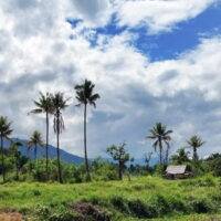 Lore Lindu National Park, Sulawesi, Indonesia