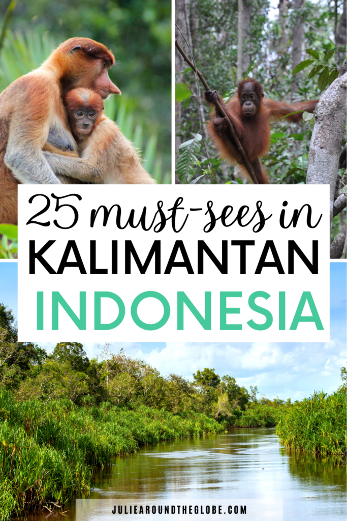 Best things to do in Kalimantan, Indonesia