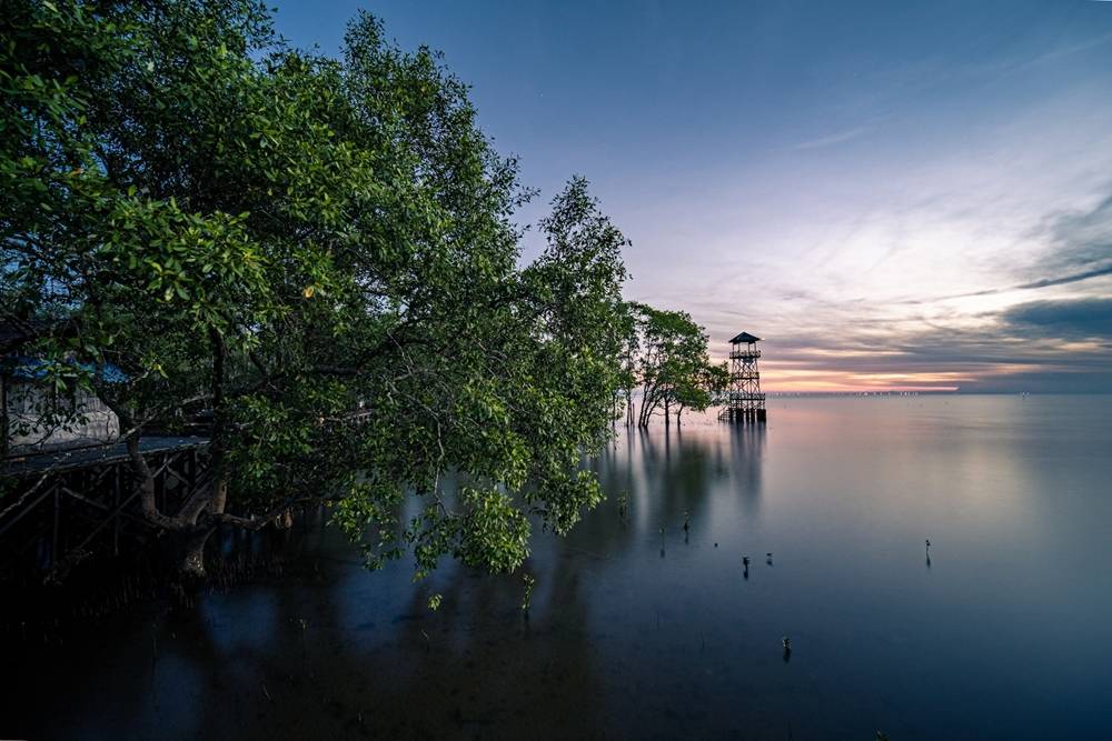 Mangrove Pendopo, Balikpapan, Kalimantan