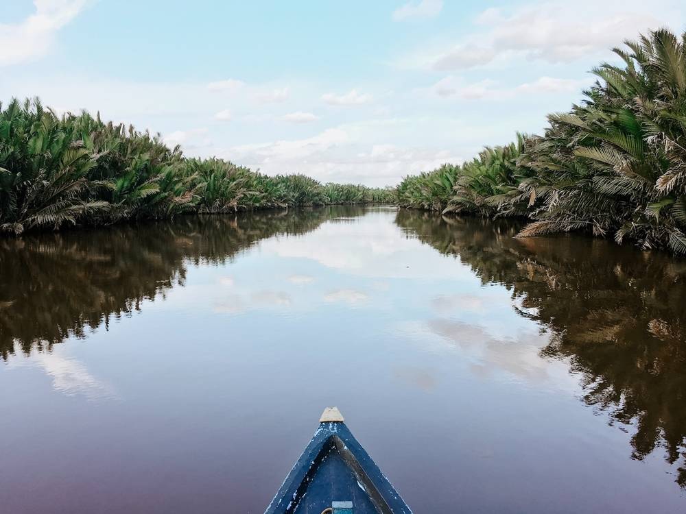 River in Kalimantan