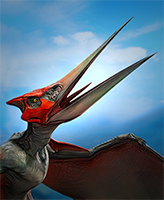 Pteranodon