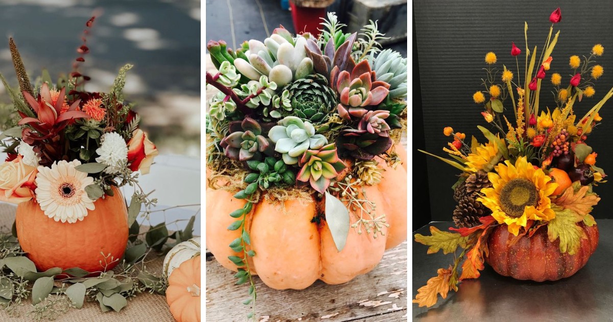 Want to create beautiful pumpkin flower arrangements this fall? Learn how to make a pumpkin flower arrangement with our simple guide! 🎃💐 Perfect for any occasion, these fall flower arrangements in pumpkins can be made with real or fake pumpkins. 🌿 Whether you're looking for a pumpkin with flowers on top or a full arrangement inside, these tips will help you craft the perfect centerpiece. Elevate your autumn decor with these creative DIY projects! 🍁✨ #PumpkinDecor #DIYArrangements #FallFlowers