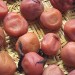 IMG: umeboshi