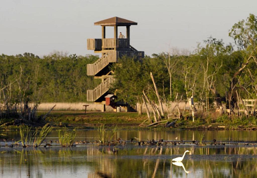 Brazos Bend State Park