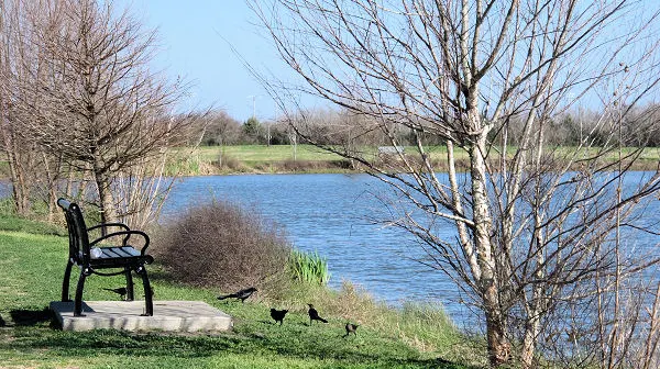 things to do in Rosenberg Tx - Seabourne Creek Nature Park