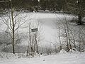 Alter Hafen im Winter, Laich- und Hegeplatz des Angler-Vereins Karlsruhe e.V.