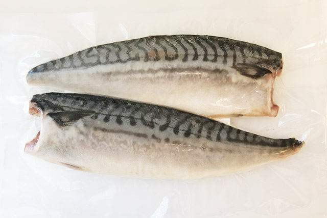 Mackerel Fillet