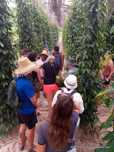 Kampot Cambodia scenes