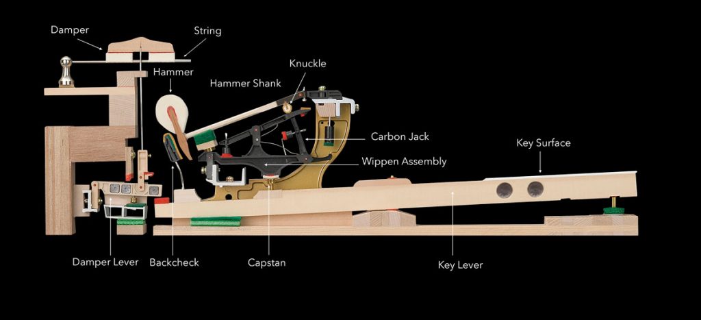 Piano Action Parts