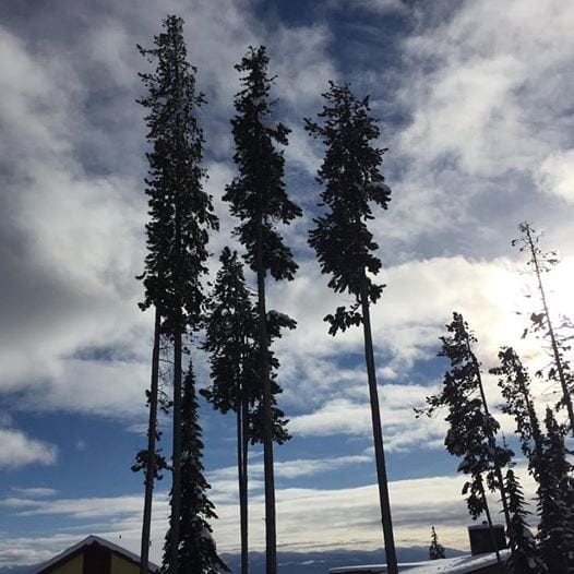 big white local ski hill