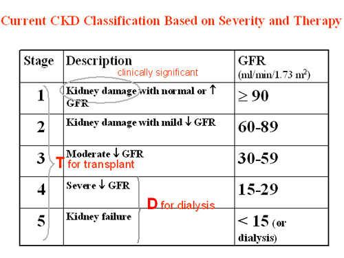 CKD: disease or normal ageing? (does it even exist?) - Chronic Kidney ...