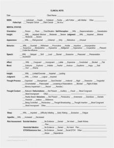 Editable Psychosocial Assessment Template Social Work Excel Sample