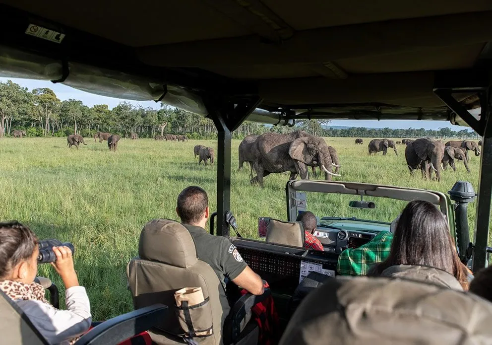 Top activities on a Masai Mara 3 days 2 nights package - game drive in Masai Mara