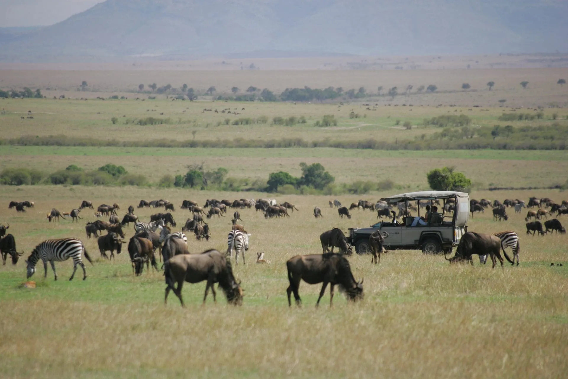 saruni lodge kenya